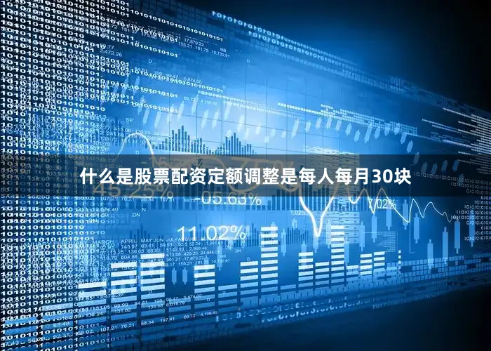 什么是股票配资定额调整是每人每月30块